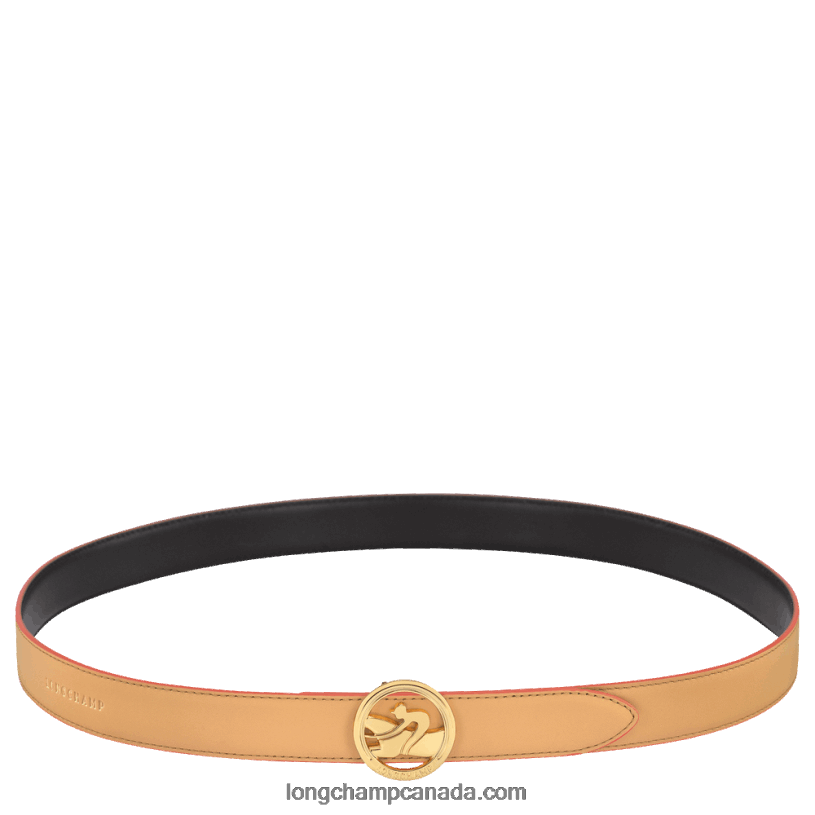 Longchamp Box Trot Ladie's belt VJ2H4939 Vegetal/Black