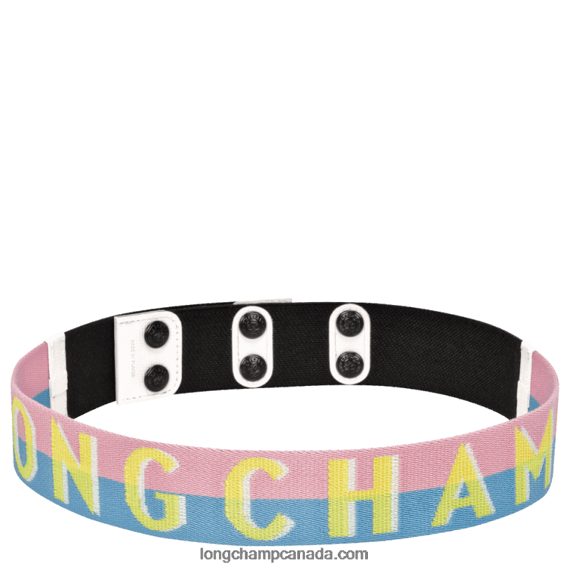 Longchamp LGP Ombre Ladies' belt VJ2H4943 Yellow