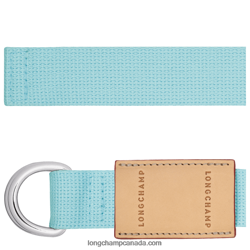 Longchamp Le Pliage Re Play Ladies\' belt VJ2H4958 Celadon