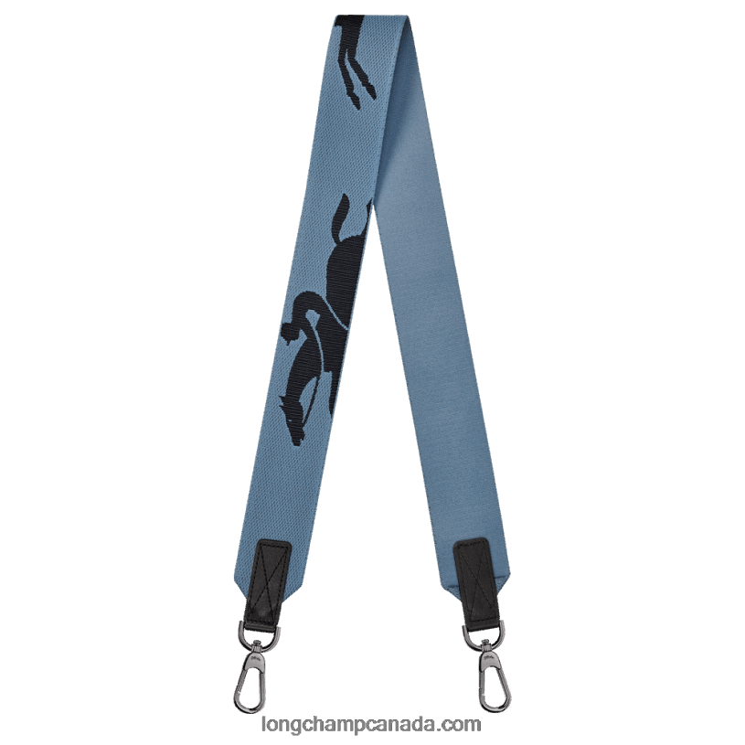 Longchamp 3D Shoulder strap VJ2H41068 Slate