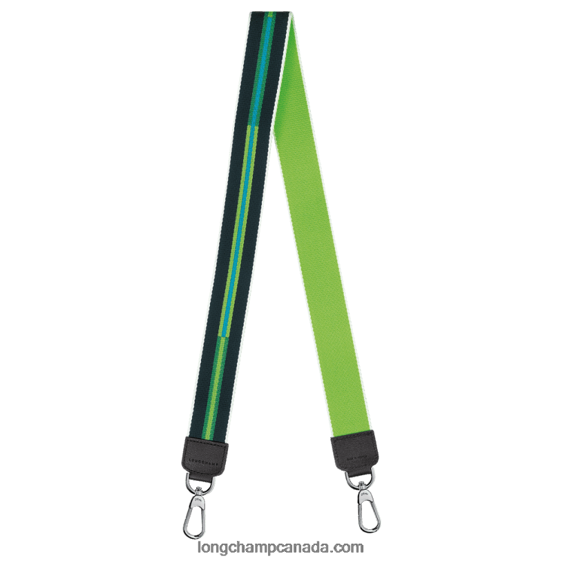 Longchamp Rayures Shoulder strap VJ2H41077 Green Light