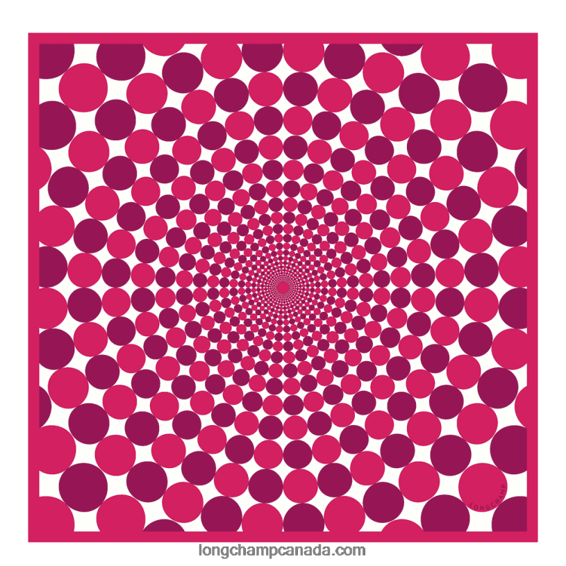 Longchamp Spring/Summer 2023 Collection Silk scarf 70 VJ2H41035 Fuchsia