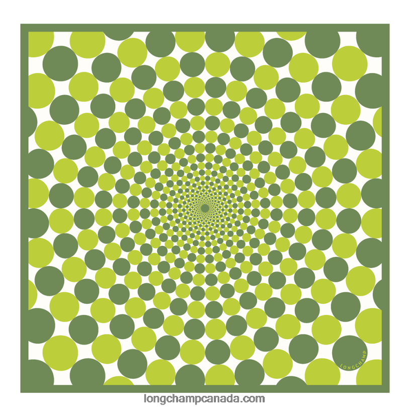 Longchamp Spring/Summer 2023 Collection Silk scarf 70 VJ2H41036 Grass/Green Light