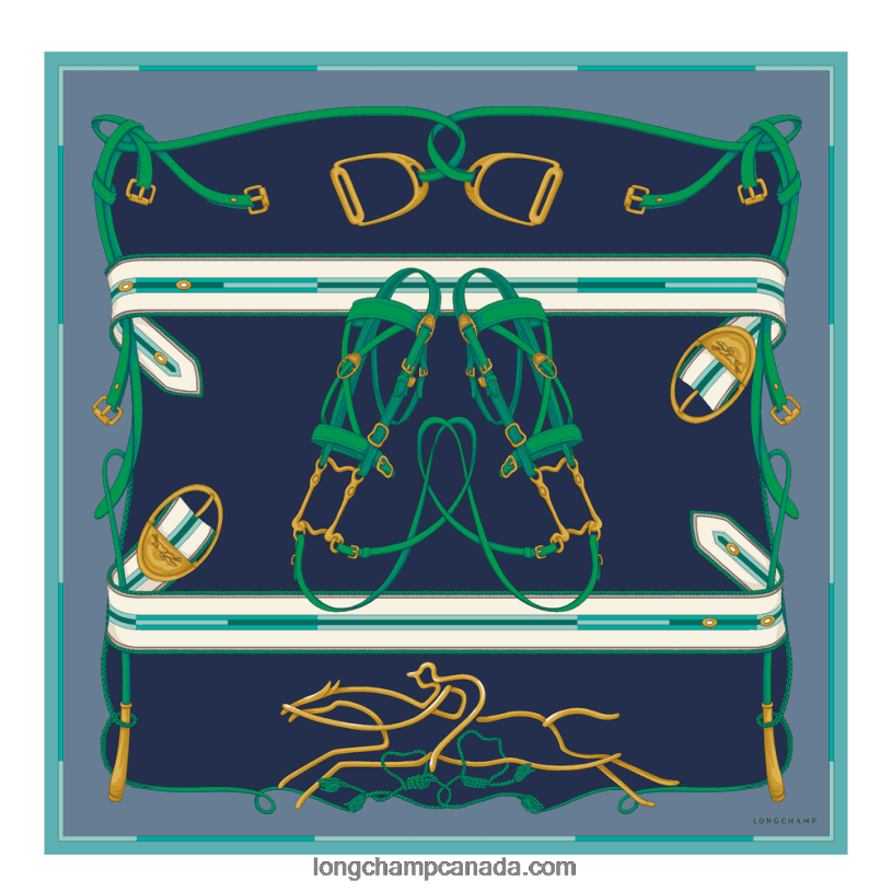 Longchamp Spring/Summer 2023 Collection Silk scarf 90 VJ2H41046 Slate