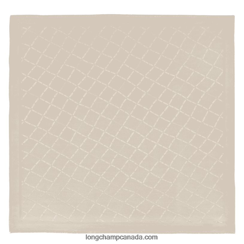 Longchamp Spring/Summer 2023 Collection Shawl VJ2H41002 Paper