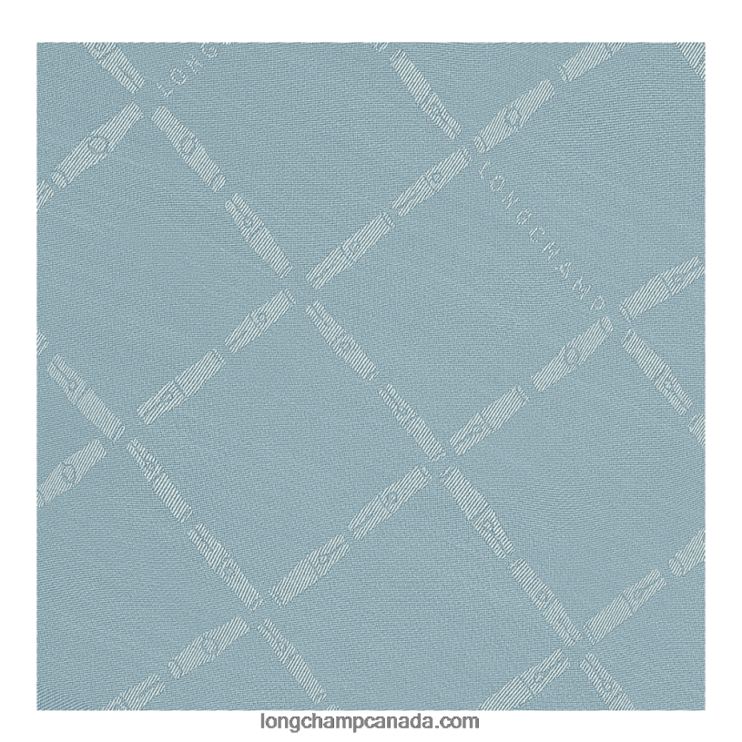 Longchamp Spring/Summer 2023 Collection Shawl VJ2H41003 Cloud Blue