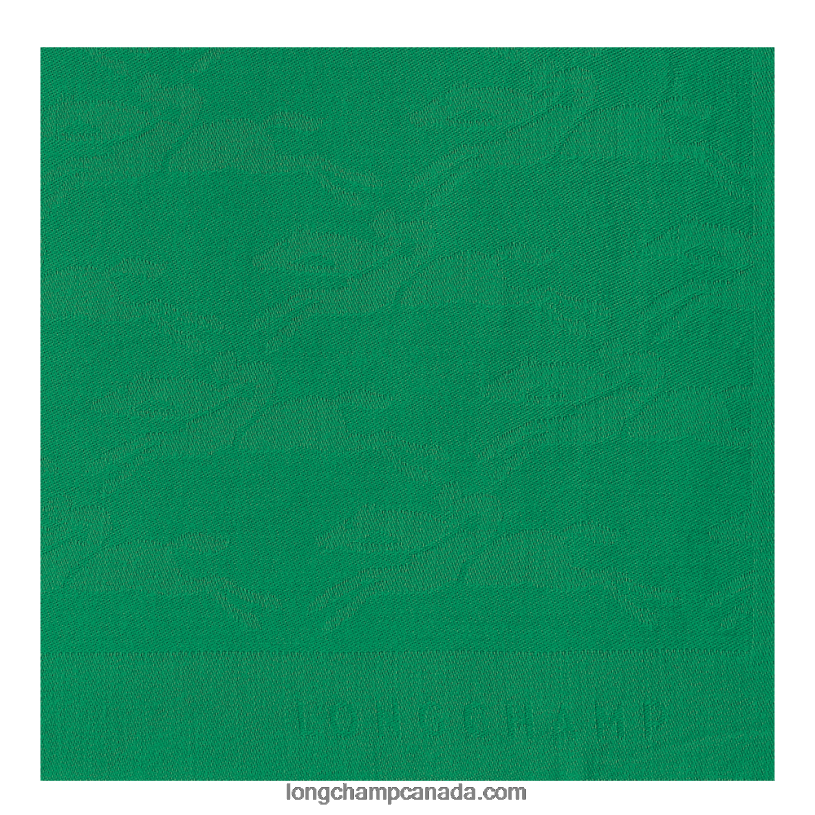 Longchamp Spring/Summer 2023 Collection Stole VJ2H4986 Grass/Green Light