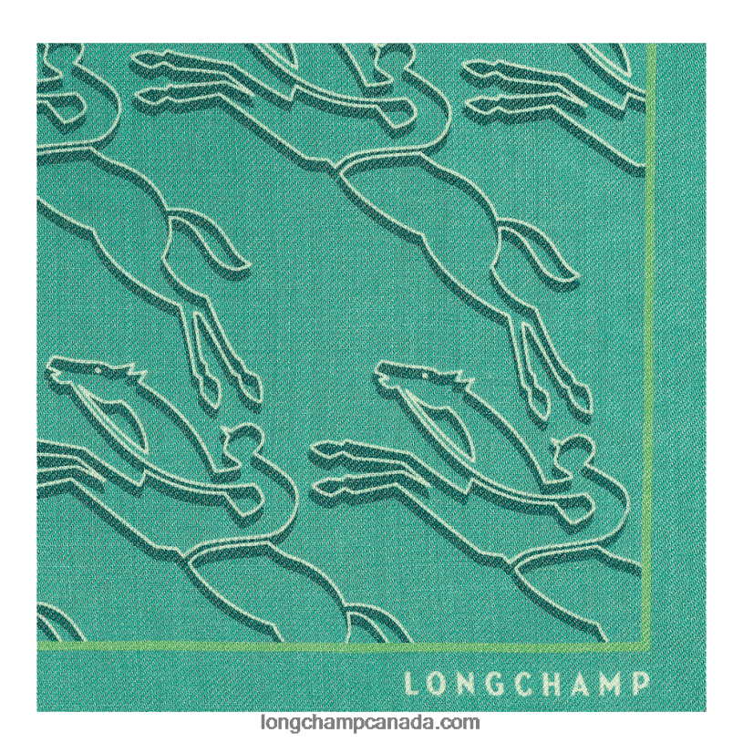 Longchamp Spring/Summer 2023 Collection Stole VJ2H4988 Green Light