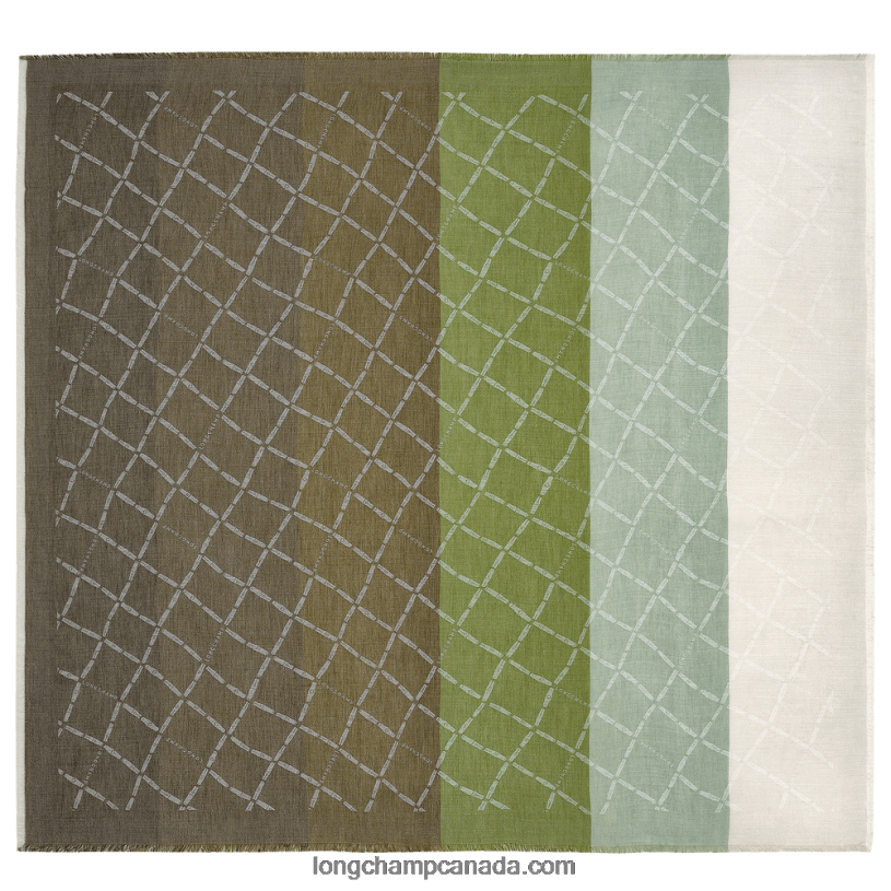 Longchamp Spring/Summer 2023 Collection Stole VJ2H4999 Green Light