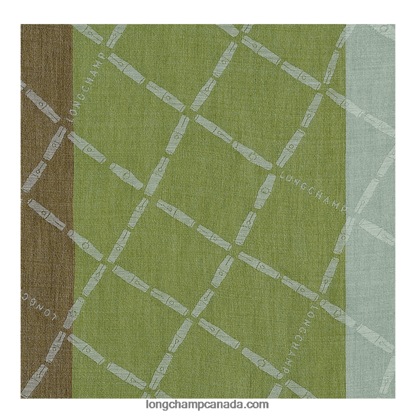 Longchamp Spring/Summer 2023 Collection Stole VJ2H4999 Green Light