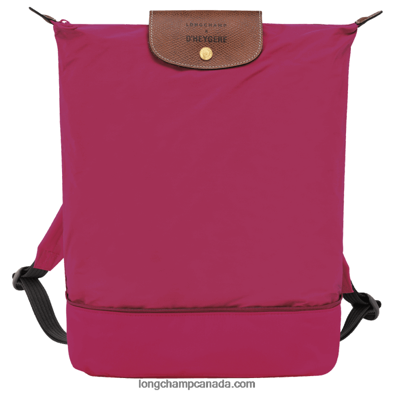 Longchamp X D'heygere Crossbody bag/Backpack VJ2H4325 Pink