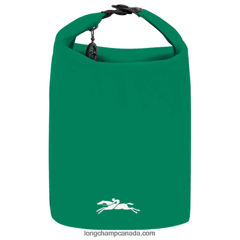 Longchamp Le Pliage Collection Pouch VJ2H4215 Grass/Green Light