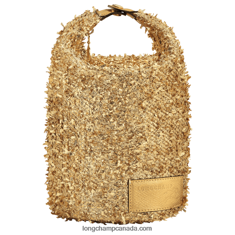 Longchamp Le Pliage Collection Pouch VJ2H4221 Gold