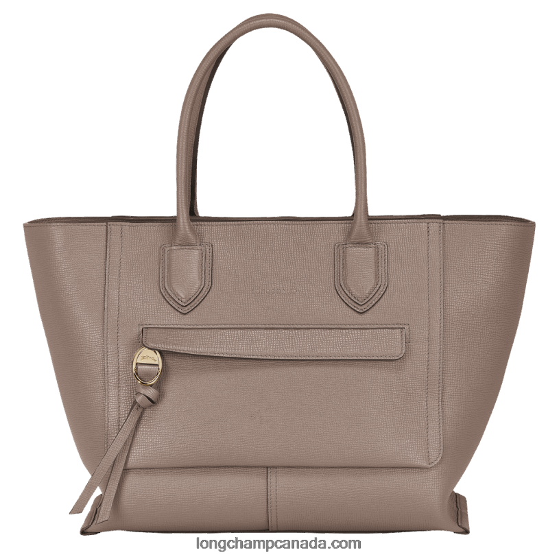 Longchamp Mailbox Handbag L VJ2H4172 Taupe