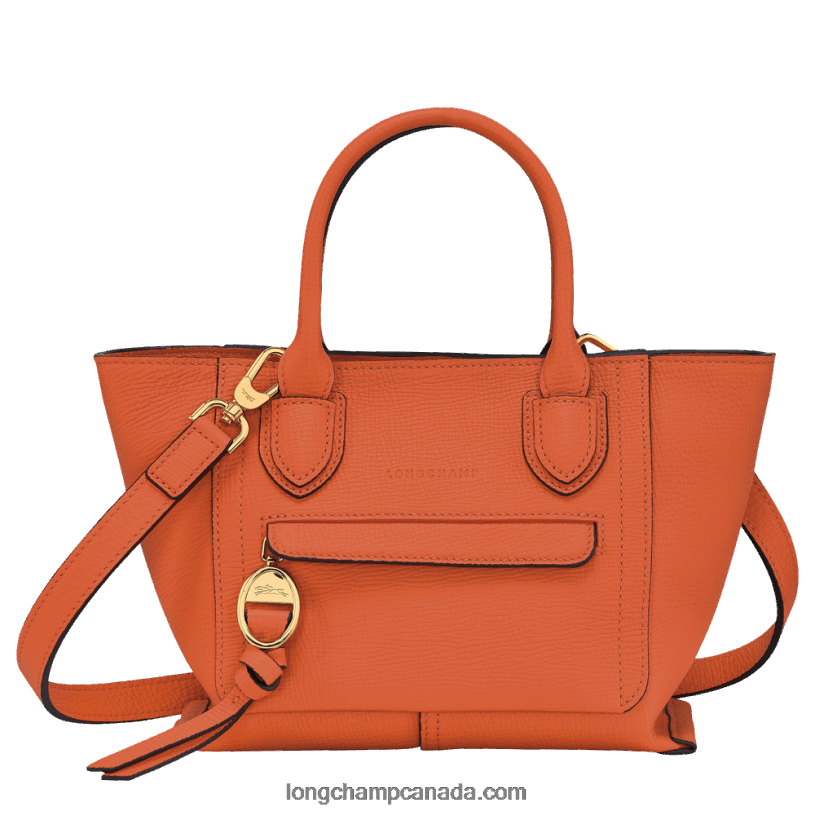 Longchamp Mailbox Handbag S VJ2H4166 Carot
