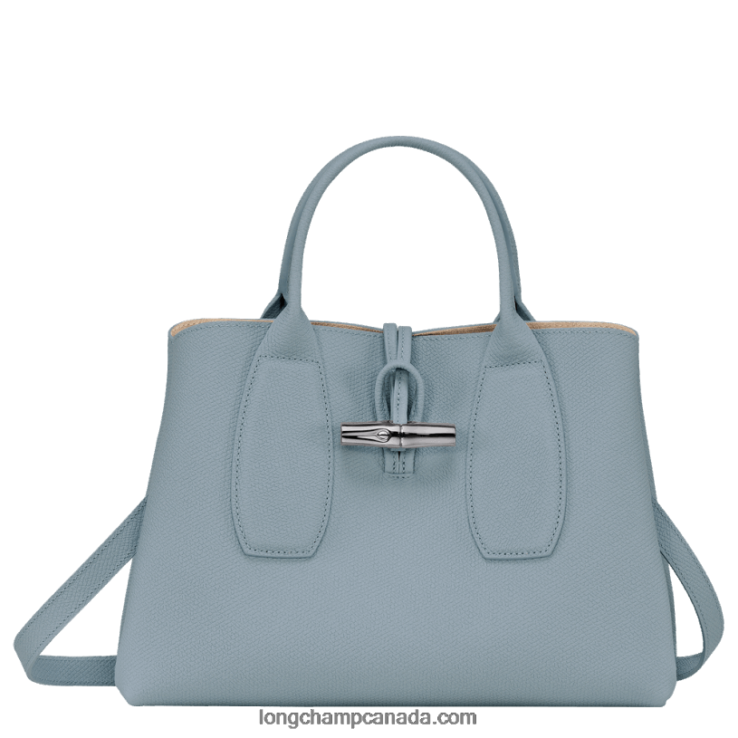 Longchamp Roseau Handbag M VJ2H4107 Cloud Blue