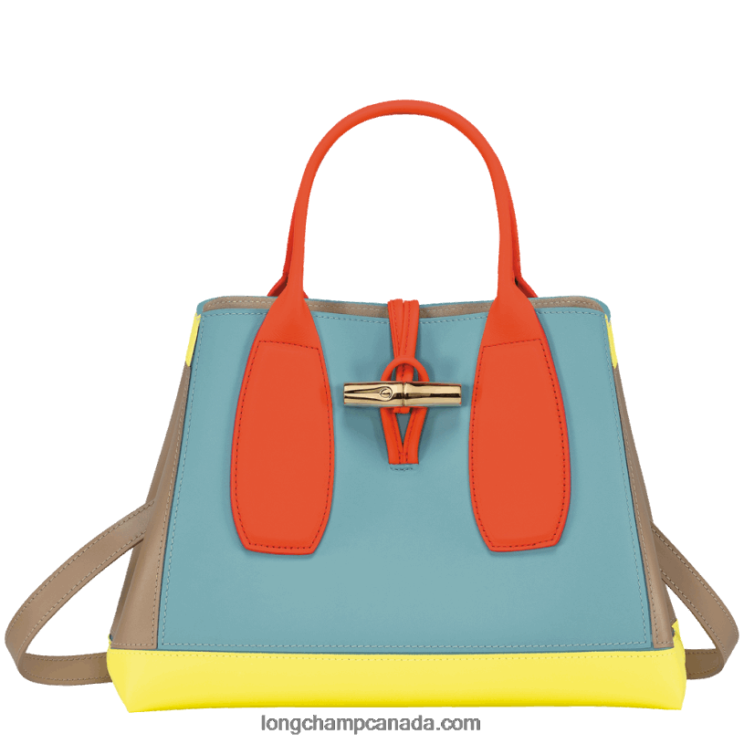 Longchamp Roseau Handbag M VJ2H496 Multicolor