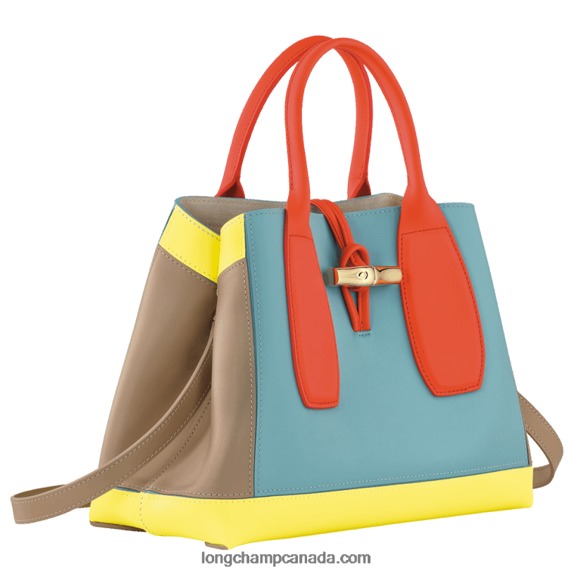 Longchamp Roseau Handbag M VJ2H496 Multicolor