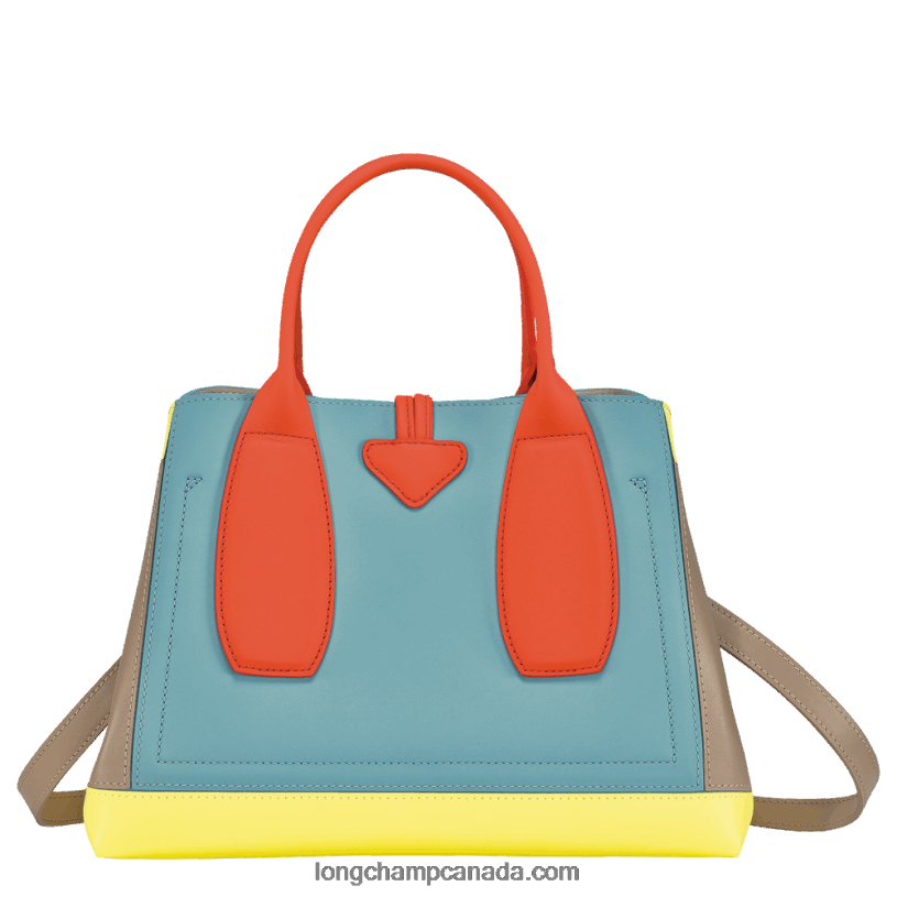 Longchamp Roseau Handbag M VJ2H496 Multicolor