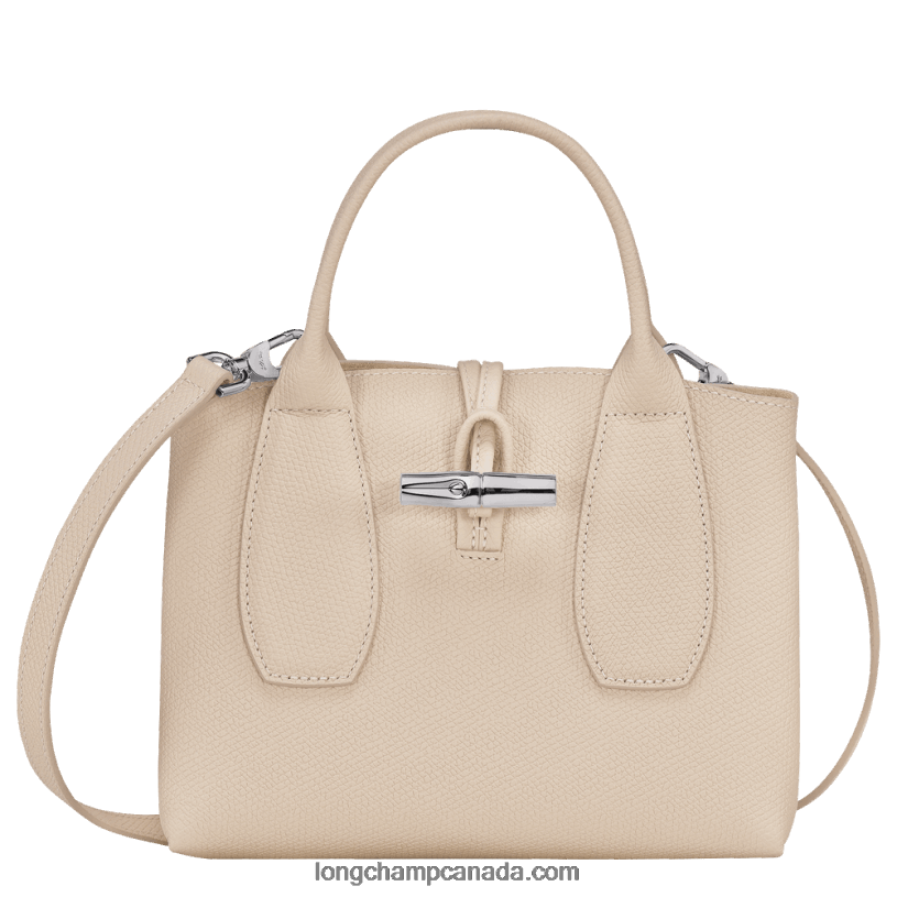 Longchamp Roseau Handbag S VJ2H4114 Paper