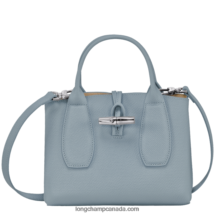 Longchamp Roseau Handbag S VJ2H4115 Cloud Blue